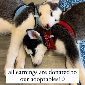 each product donates money to a different rescue dog